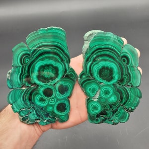 Malachite Congo
