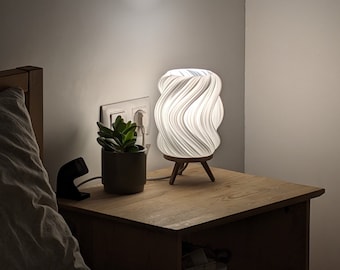 Unique Table Lamp with modern organic style shade