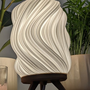 Unique Table Lamp with modern organic style shade image 7