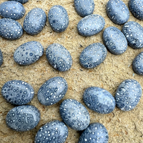 Natural blue sponge coral calibrated oval cabochons 10x14mm (package of 3 cabochons)