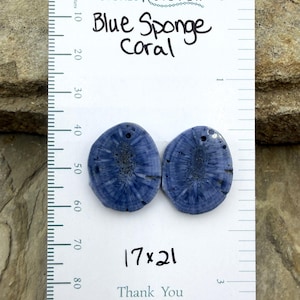 Blue sponge matching earring slab bead pair 17x21mm