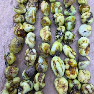 Rare palomino variscite 10mm-10x15mm nugget beads, 8 inch strand/15-17 beads