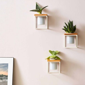 Coastal Pablo Cube with White Metal Stand- Set Of 3. Choose from clear or matte white glass.