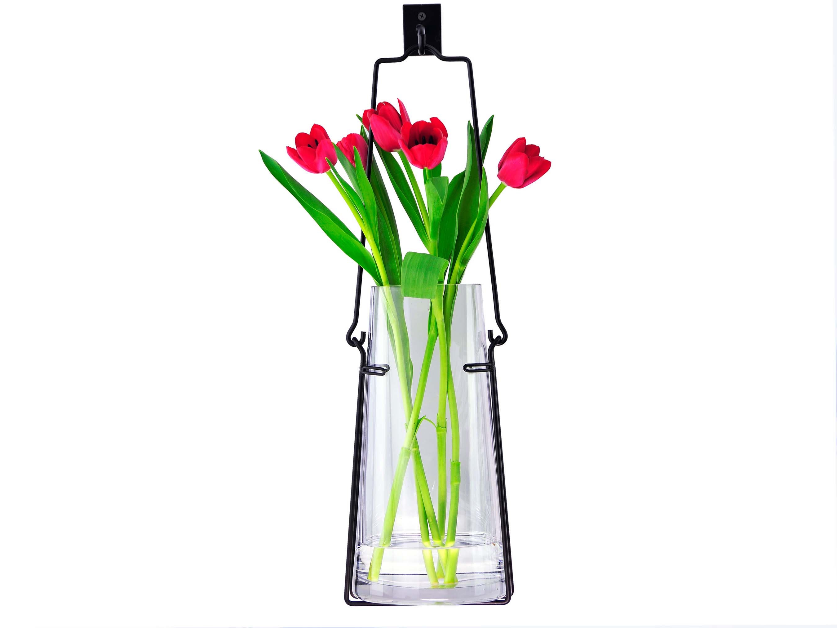 Floral Water Tubes/vials For Flower Arrangements Rose Flower - Temu United  Arab Emirates