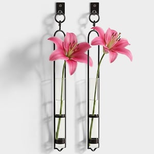 Florence Hanging Tube Vase with Hook – Set of 2, Elegant Glass Wall Vase, 15" Tall, Air Planter for Floral Arrangements and Home Decor