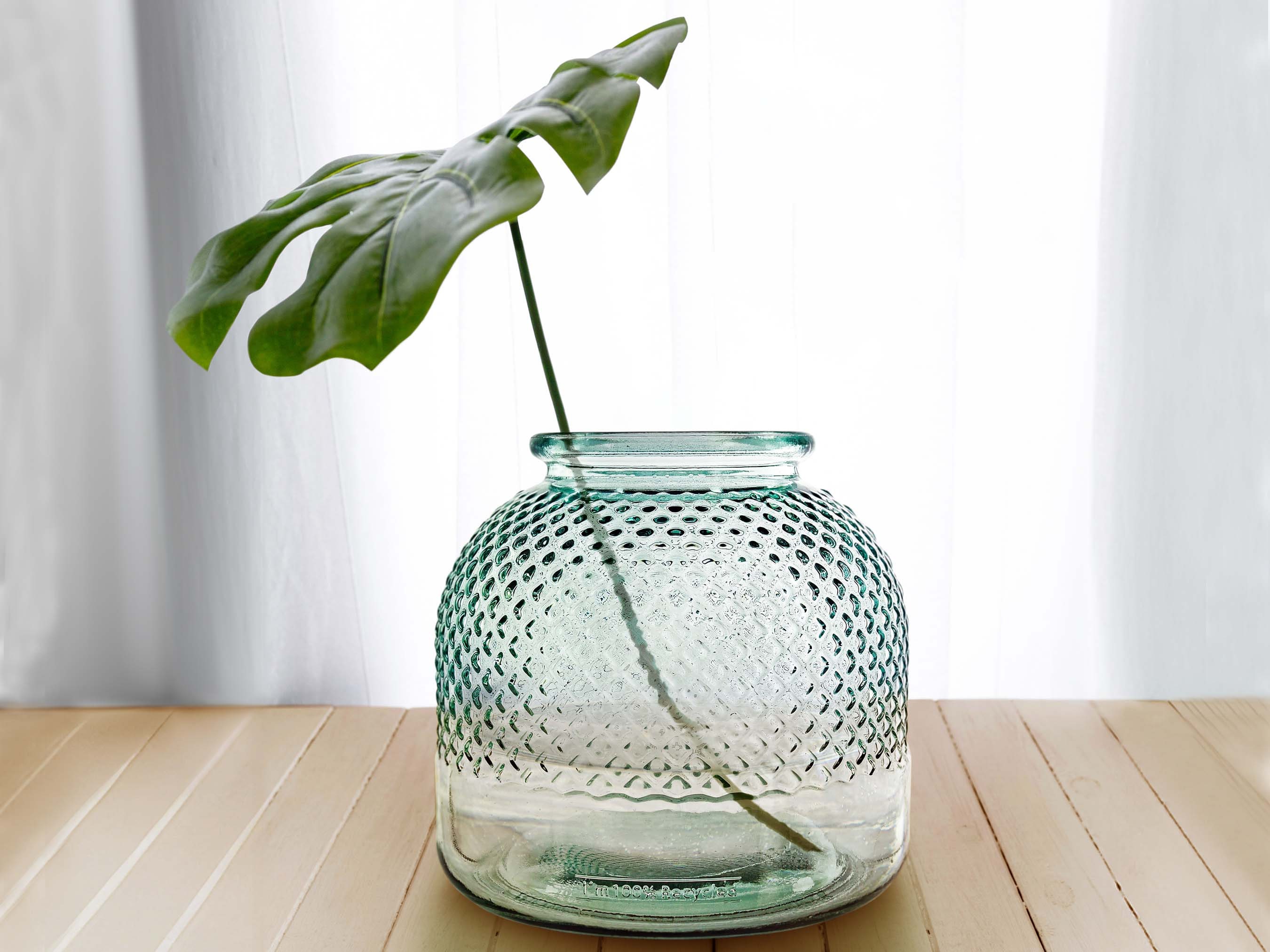 Live Moss Terrarium Glass Vase 8 Tall, 6 Diameter 