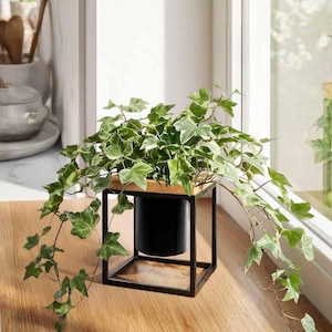Modern Cube Planter with Black Metal Stand | Tabletop Succulent Decor