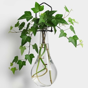 Teardrop Bud Vase – Mini Glass Flower Vase, 8 oz, Hanging Vase for Plant Propagation