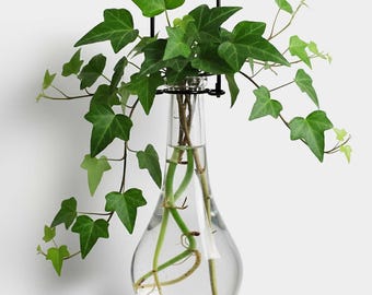 Bud Vase for Plant Propagation, Hanging Glass Drop Mini Flower Vase