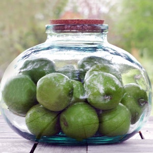 270oz Glass Bean Jar Rustic Finish | Farmhouse COOKIE JAR for Kitchen Storage | Candy Jar | Coffee Beans Jar | large Terrarium GLASS Jar