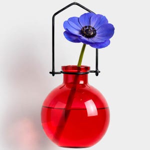 May include: A vibrant red glass vase with a spherical body and a black metal handle, holding a single blue anemone flower. The vase is filled with water, and the flower's stem is visible. The design is minimalist and modern.