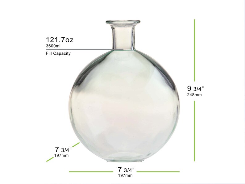 9 3/4 Globe Glass Vase Etsy