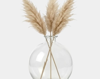 Globe Vase 7" | Elegant Floral Glass Vase for Home Decor, Unique Home Accent and Housewarming Gift Idea