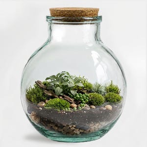 May include: A clear, spherical glass terrarium container topped with a cylindrical cork stopper. Inside, layers of small stones and dark soil support a miniature landscape of green moss, small leafy plants, a trailing succulent, and driftwood.