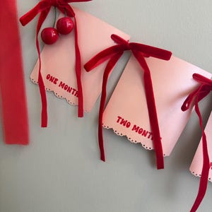Cherry First Birthday Banner Set – High Chair Banner • Party Banner • Milestone Banner • First Birthday Decorations • Cherry Theme Party Dec