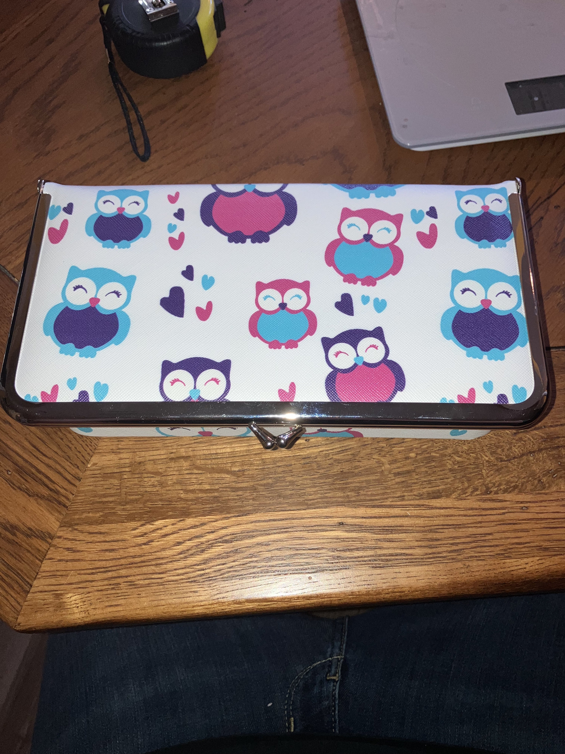 Kisslock Owl Jewelry Case