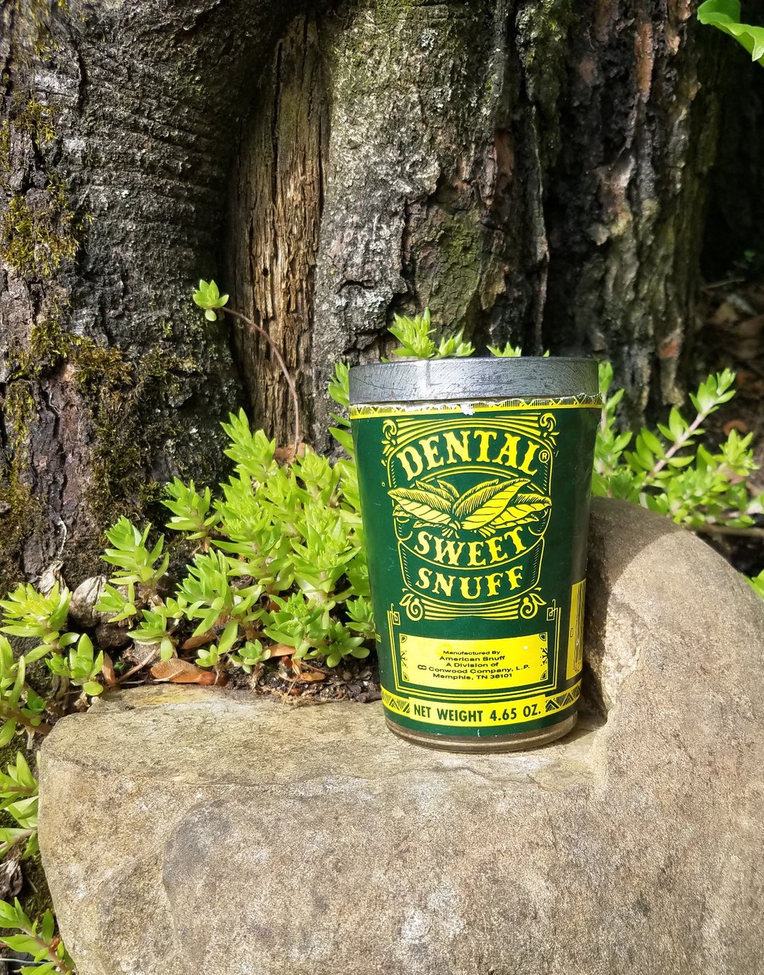 Dental Sweet Snuff Empty Container Made in Memphis Etsy