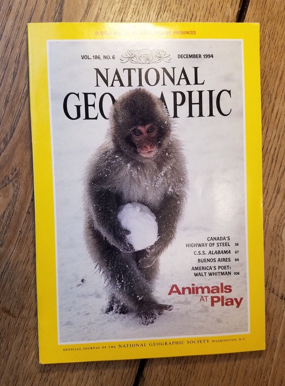 National Geographic Magazine Animals at Play 1994 December - Etsy
