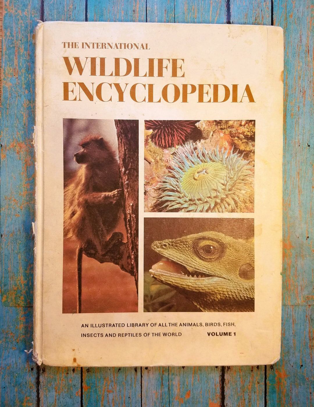 The International Wildlife Encyclopedia Volume 1 Hardback Book 1969 Etsy
