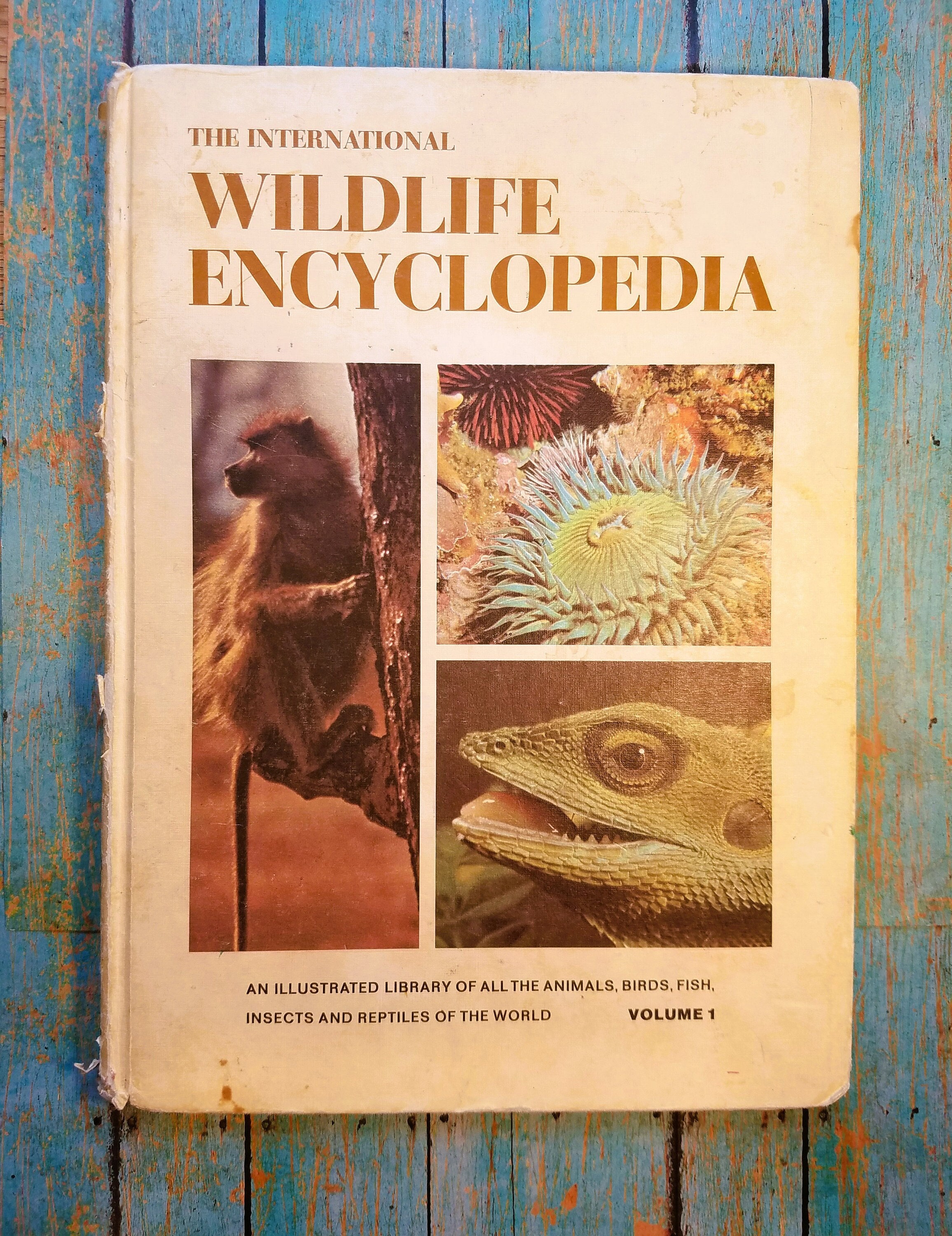 The Complete Encyclopedia Of Wild Animals: Informative Text