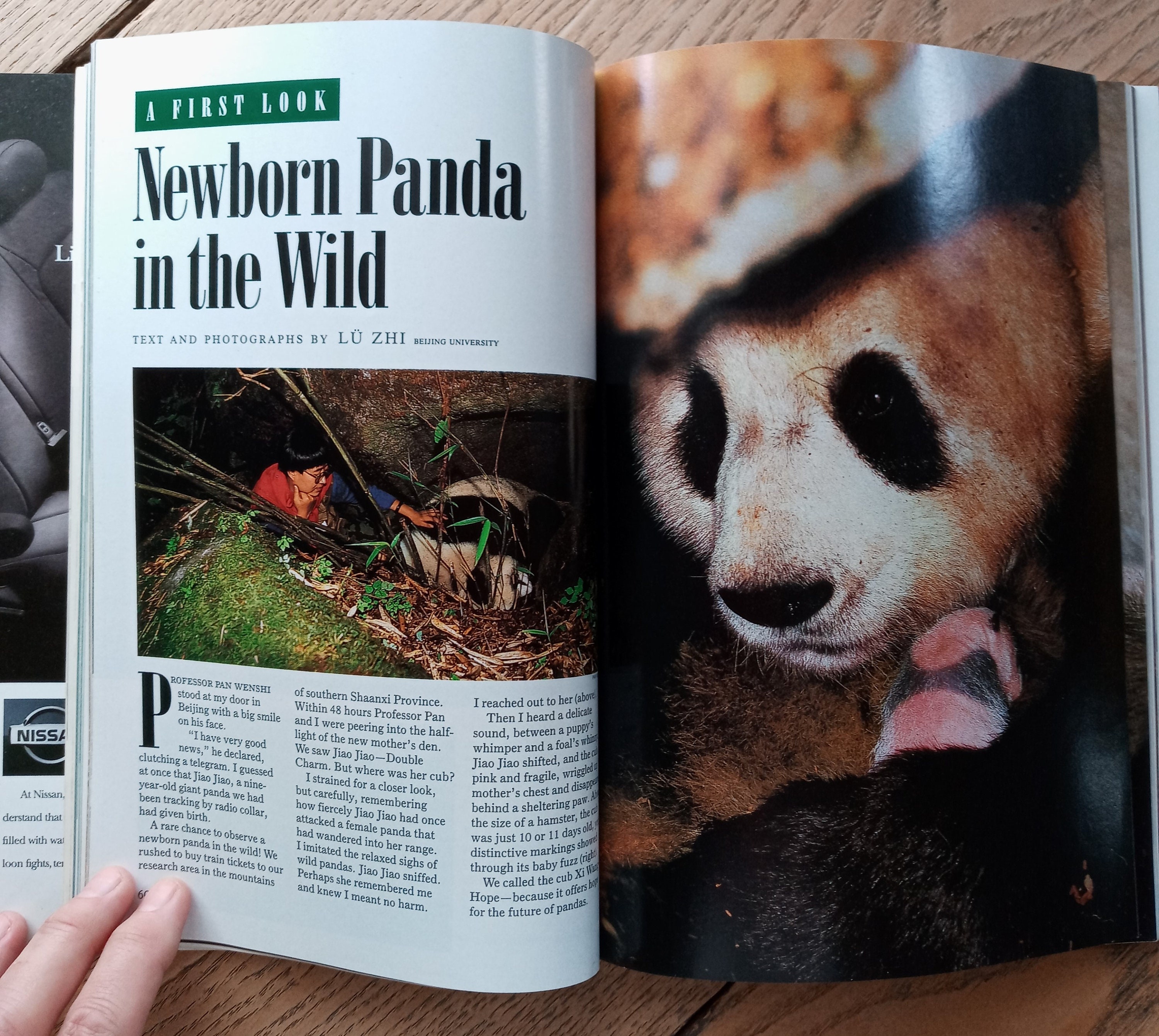National Geographic Magazine February 1993 Vol 183 No 2 Newborn Panda ...