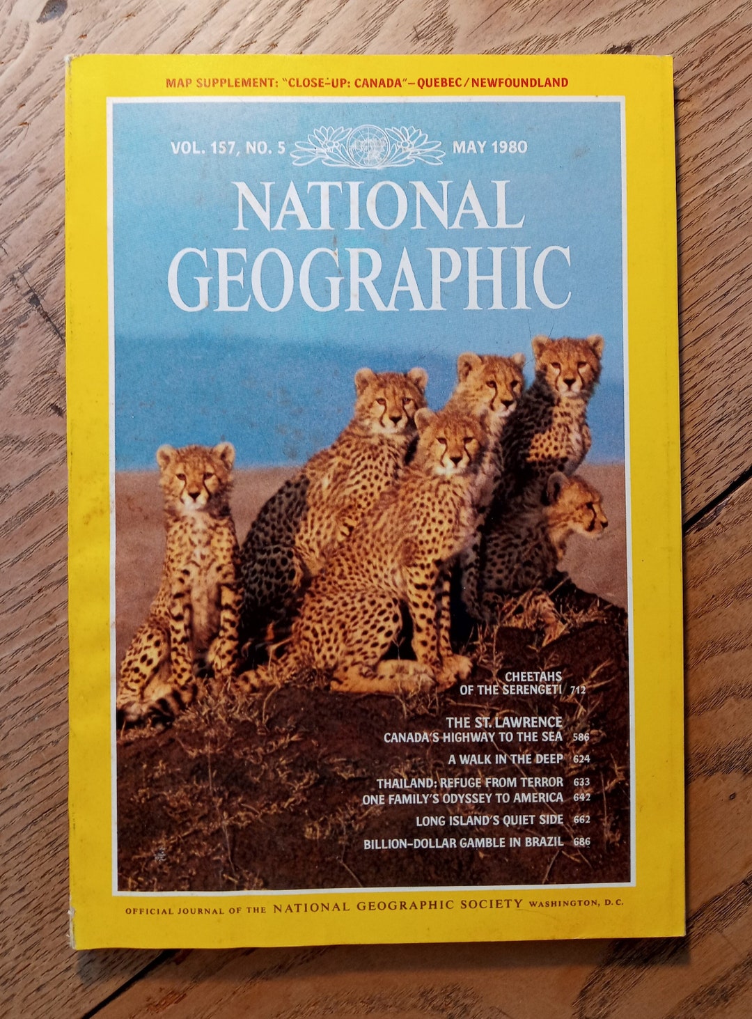 National Geographic Magazine May 1980 Vol 157 No 5 Cheetahs