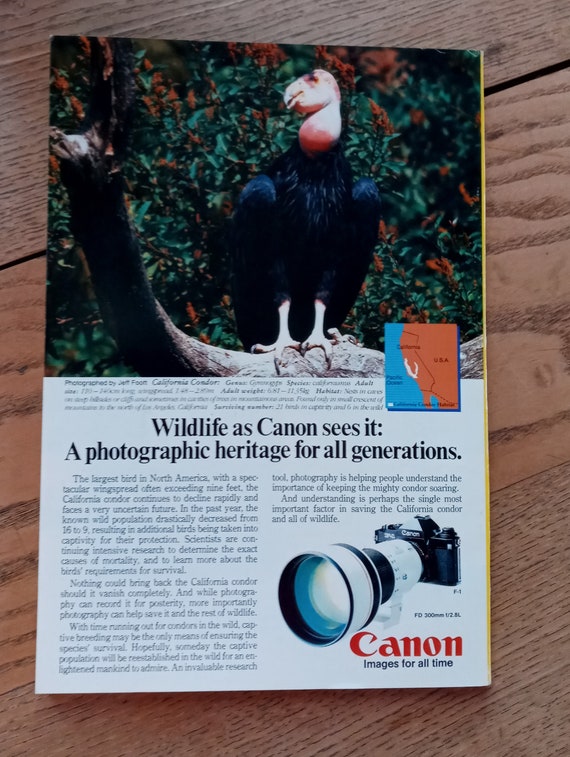 National Geographic Magazine February 1986 Vol 169 No 2
