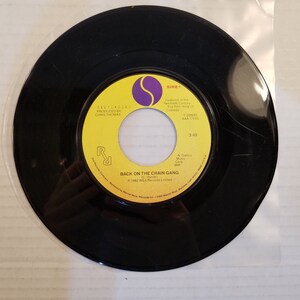 Pretenders Back On The Chain Gang Vinyl 45 Record 1982