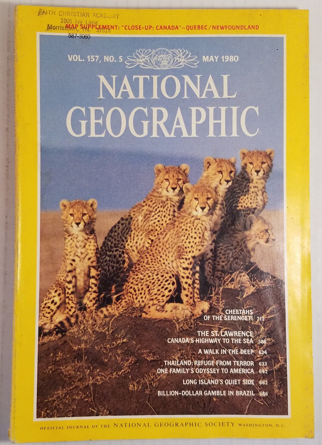 1980 National Geographic Magazine Cheetahs of the Serengeti - Etsy
