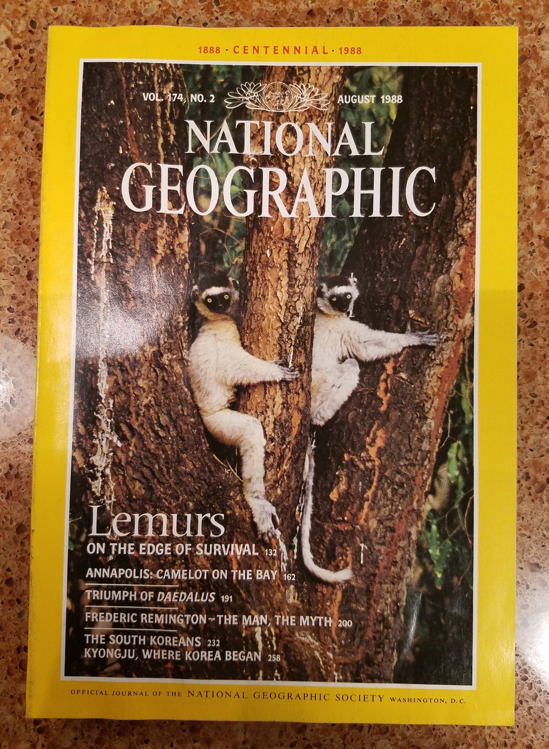 National Geographic Magazine Lemurs on the Edge of Survival Cover