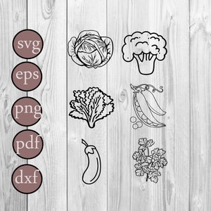 Gemüse svg Bundle,Gemüse svg,Gemüse svg,Kohl,Brokkoli,Erbsen,Aubergine,Gemüse Silhouette,Venille,Vinyl Design
