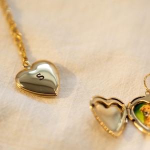 May include: A gold heart-shaped locket necklace with a chain. One locket is closed with the letter "S" on the front. The other locket is open, revealing a small photo of a dog. The background is a soft, off-white fabric.