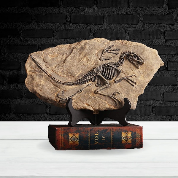 Dinosaur Fossil Decor Dino Gift Animal Figurine Statue Sculpture Unique Decor Objects Decorative & Handcrafted Home Office Shelf Ornament