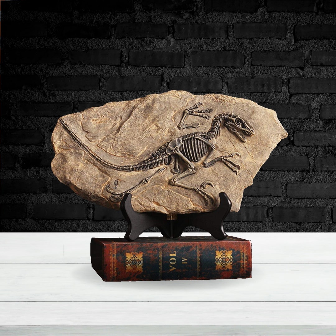 Dinosaur Fossil Decor Dino Gift Animal Figurine Statue Sculpture Unique ...