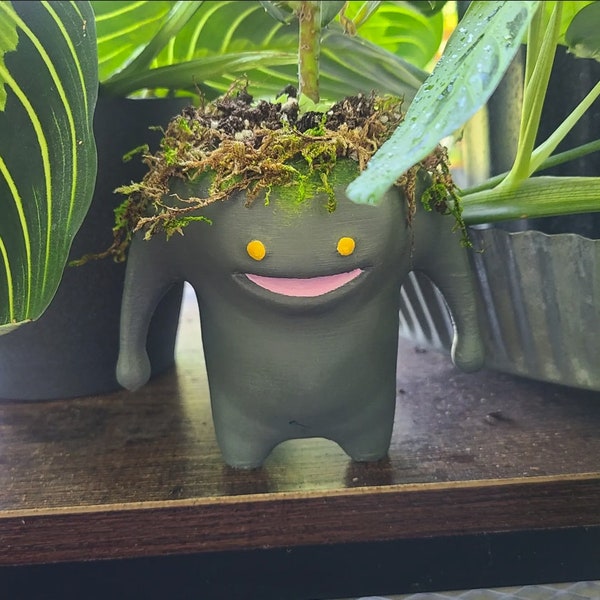 Goobue Sukkulenten Pflanzgefäße | 3D Gedruckt | XIV | FFVIX | Minion | Wohndekor