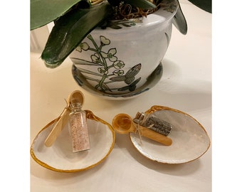 Clam Shell Salt and Pepper Cellar Set: Himalayan Salt, Wooden Spoons