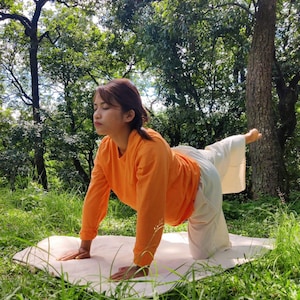 K&ouml;nnte beinhalten: Eine Frau in einem orangefarbenen Langarmshirt und einer wei&szlig;en Hose f&uuml;hrt eine Yoga-Pose auf einer wei&szlig;en Matte in einem grasbewachsenen Bereich mit B&auml;umen im Hintergrund aus.