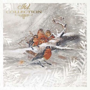 ITD 0084 Bellissime immagini di uccelli delle nevi 5,8" x 5,8" set di 6 carta di riso per decoupage