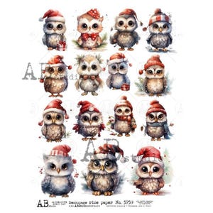 A4 ABDF 5759 Corujas de Natal Múltiplas Decoupage Papel de Arroz