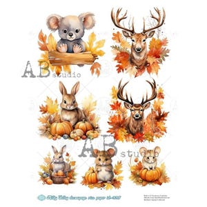Papel de arroz para decoupage A4 ABDF 0335 Animales otoñales x 7