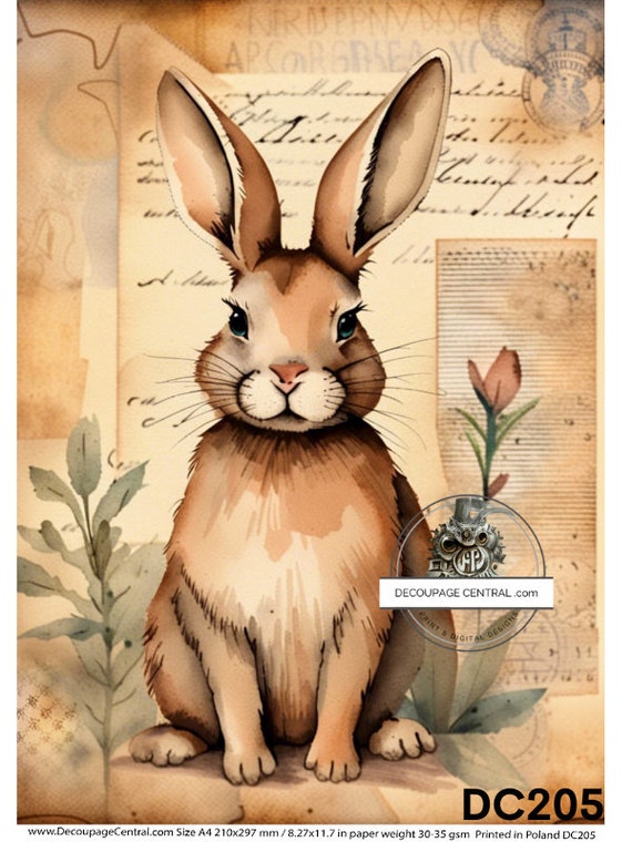 A4 DF 0205 Parchment Bunny Decoupage Rice Paper