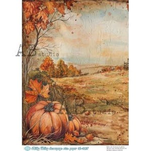 A4 ABDF 0365 Herfstpompoenen Achtergrond Decoupage Rijstpapier
