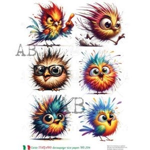 A4 ABDF 0294 Oiseaux duveteux mignons et fous x 6 Papier de riz à découpage