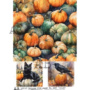 Papier de riz A4 ABDF 2257 citrouilles chat noir et corbeau