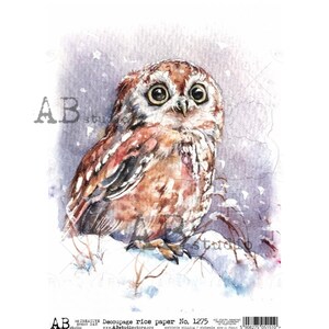 Papier de riz A4 ABDF 1275 Winter Owl Decopauge