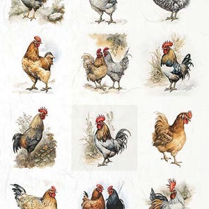 A4 ITD 0068 ES.9 Coqs et poulets de basse-cour x 12, papier de riz pour découpage
