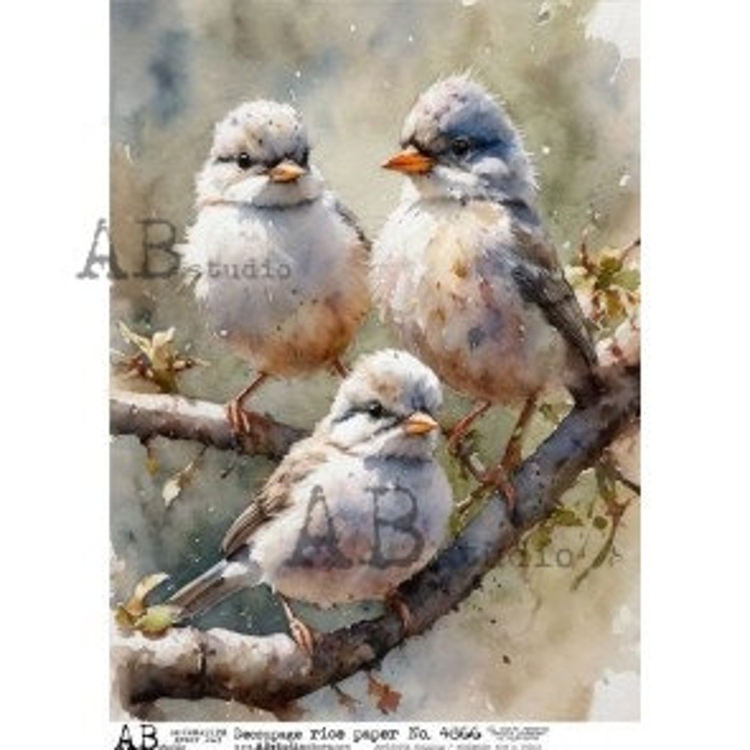 A4 DF Bird Trio Blue AB DF 4866 Decopauge rijstpapier - Etsy België, image size:1080x1080