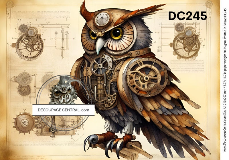 A4 DF 245 Steampunk Owl Decopauge Rice Paper