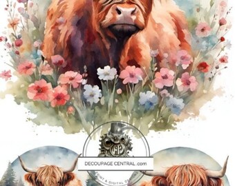 A4 DF 0197 Highland Cow Circles