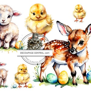 Papier de riz decopauge A4 DF 324 bébés animaux